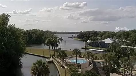 crystal river live cam|Crystal River Live Webcam new in Florida, USA